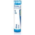 SILICEA POR 9CH GRA 4G – Hledejceny.cz