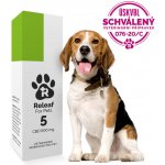 Releaf 5 CBD olej pro psy 10 ml – Zboží Mobilmania