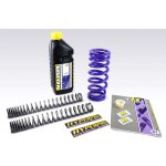 Sada progresivních pružin Hyperpro BMW R12 G/S (2025 - ), černá | Zboží Auto