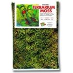 Zoo Med vystýlka terarijní mechová 68-91l – Zboží Dáma Zoo Med vystýlka terarijní mechová 68-91l – Zboží Dáma