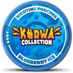 Kurwa Collection frost ice 12 mg 20 sáčků – Zboží Dáma