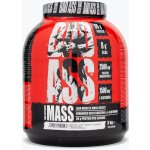Bad Ass Mass Gainer 3000 g – Hledejceny.cz