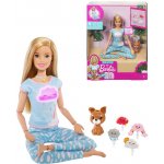 Barbie Wellness a meditace – Zbozi.Blesk.cz