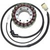 Alternátory ELECTROSPORT vinutí alternátoru (stator) KAWASAKI ZX-12R (00-01) (ESG653)