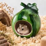 JK ANIMALS keramický domek Meloun pro křečky 10 x 13 x 9,5 cm – Hledejceny.cz