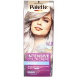 Palette Intensive Color Creme barva na vlasy Chladný Stříbřitě Plavý 10-19 – Sleviste.cz