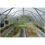 Lanit Plast Tiberus 3x8 m PC 6 mm LG2866 – Zboží Mobilmania