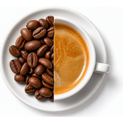Oxalis Barma espresso směs zrnková 0,5 kg – Hledejceny.cz