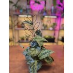 Dekorativní opora list plast – Sleviste.cz