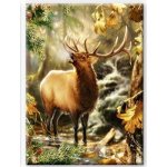 Norimpex Diamantové malování Volání lesa 30 x 40 cm – Zboží Mobilmania