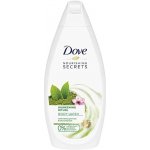 Dove Nourishing Secrets Awakening Ritual osvěžující sprchový gel 500 ml – Zbozi.Blesk.cz