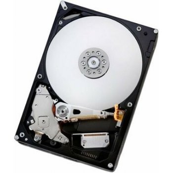 Dell 1 TB / 3.5" / SATA III / 7200 RPM / pro PowerEdge T150, 161-BBZU