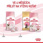 Royal Canin Mother & BabyCat 4 kg – Zboží Mobilmania