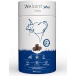 WePharm WeJoint Plus Tasty střední plemeno 30 ks – Hledejceny.cz