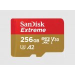 SanDisk microSDXC UHS-I U3 256 GB SDSQXAV-256G-GN6MA – Zboží Živě