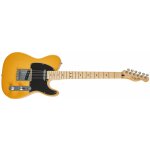 Fender Player Telecaster MN – Zboží Mobilmania