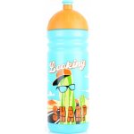 Zdravá lahev Kaktus 700 ml – Zbozi.Blesk.cz