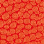 Pebeo Fantasy efektová barva Prisme 45 ml Vermillion – Hledejceny.cz