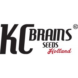 KC Brains Seeds Brains Damage regular semena neobsahují THC 5 ks