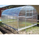 Gutta Gardentec Classic T 6 x 3 m PC 4 mm 100000580 – Zboží Dáma