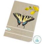 Papírny Brno Sešity školní ECONOMY A5 čtvereček 565 – Zboží Mobilmania