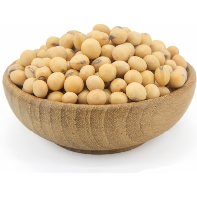 Les fruits du paradis Sojové boby Bio 1 kg – Zboží Dáma