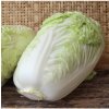 Osivo a semínko Zelí pekingské Granaat - Brassica pekinensis - semena zelí - 200 ks