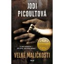 Velké maličkosti - Picoultová Jodi