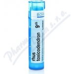 RHUS TOXICODENDRON POR 9CH GRA 4G – Hledejceny.cz
