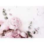 WEBLUX 235909172 Fototapeta plátno Beautiful Krásné něžné čerstvé kvetoucí aromatické růžové květy pivoňky a eukalyptové větve na bílém pozadí pohled shora ploché ro rozměry 160 x 116 cm – Zbozi.Blesk.cz