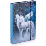 Karton P+P A5 Unicorn 1 5-68821 – Zboží Dáma