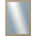 DANTIK LYON 50x70 cm stříbrná 2704 – Hledejceny.cz