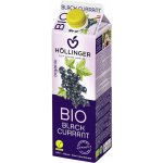 Hollinger Bio džus černý rybíz 1 l – Zbozi.Blesk.cz