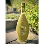 Bottega Liquore Pistacchio Cream 17% 0,5 l (holá láhev) – Hledejceny.cz