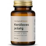 Korálovec ježatý kapsle extrakt s 50% polysacharidů 50 kapslí – Hledejceny.cz