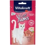 Vitakraft Cat Yums pamlsky Jitrnice 40 g – Zbozi.Blesk.cz