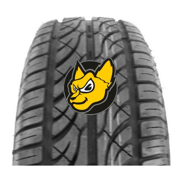 Osobní pneumatika Autoguard SA602 225/60 R16 98H