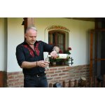 Pánská košile se slováckým vzorem bílá výšivka barevná – Hledejceny.cz