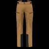 Pánské sportovní kalhoty Salewa Sella 3L Ptx golden brown