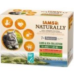 Iams Cat Senior losos jehně v omáčce 12 x 85 g – Hledejceny.cz