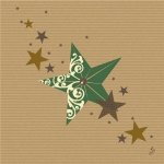 Sahm Ubrousek DNL WOF GREEN KRAFT 50ks/bal 100022538 40x40cm – Hledejceny.cz