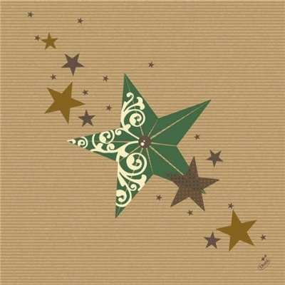 Sahm Ubrousek DNL WOF GREEN KRAFT 50ks/bal 100022538 40x40cm – Hledejceny.cz