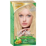 Lady in Color 8.1 popelavá blond 50 ml – Hledejceny.cz