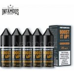 Infamous SALT MTL Booster 50/50 20mg 5x10ml – Zboží Mobilmania