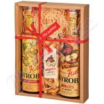 Kitl Syrob Zázvorový a Jablko a křížaly 2 x 0,5 l – Hledejceny.cz