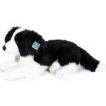 Eco- Friendly pes Border kolie ležící 45 cm – Zboží Mobilmania