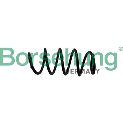 Pružina podvozku Borsehung B19305 | Zboží Auto