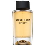 Kenneth Cole Intensity toaletní voda unisex 100 ml – Hledejceny.cz