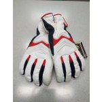 Zanier Valluga GTX Glove white – Hledejceny.cz