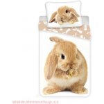 Jerry Fabrics Povlečení fototisk Bunny brown 140x200 70x90 – Zboží Mobilmania